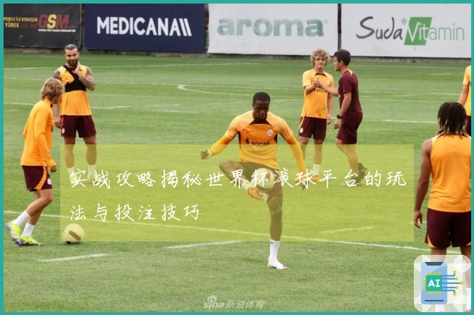 实战攻略揭秘世界杯滚球平台的玩法与投注技巧