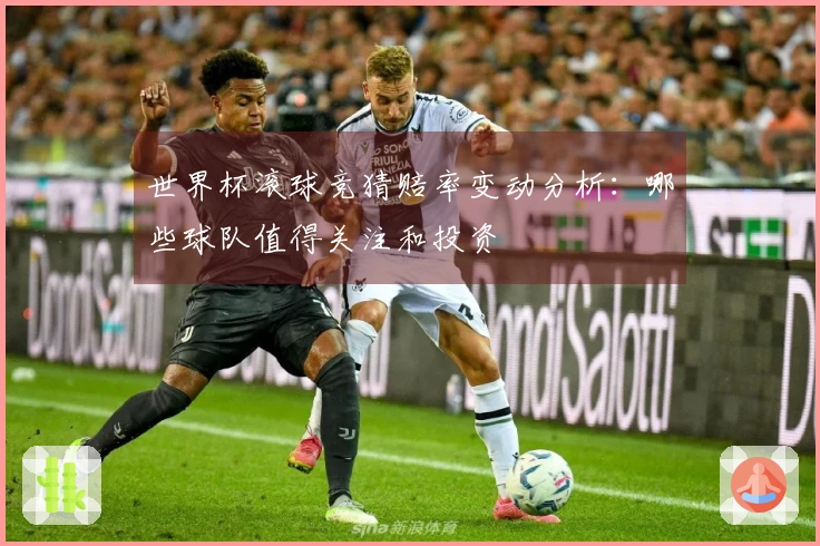 世界杯滚球竞猜赔率变动分析：哪些球队值得关注和投资