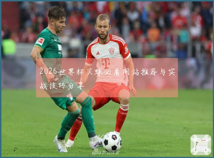 2026世界杯买球必看网站推荐与实战技巧分享