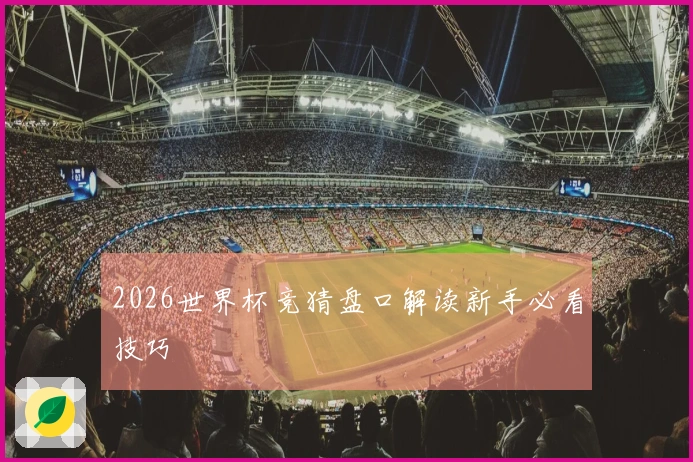 2026世界杯竞猜盘口解读新手必看技巧
