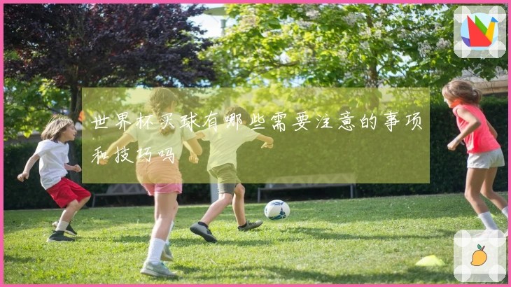 世界杯买球有哪些需要注意的事项和技巧吗