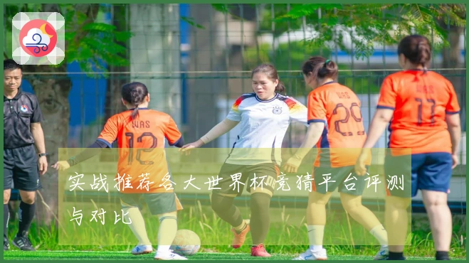 实战推荐各大世界杯竞猜平台评测与对比