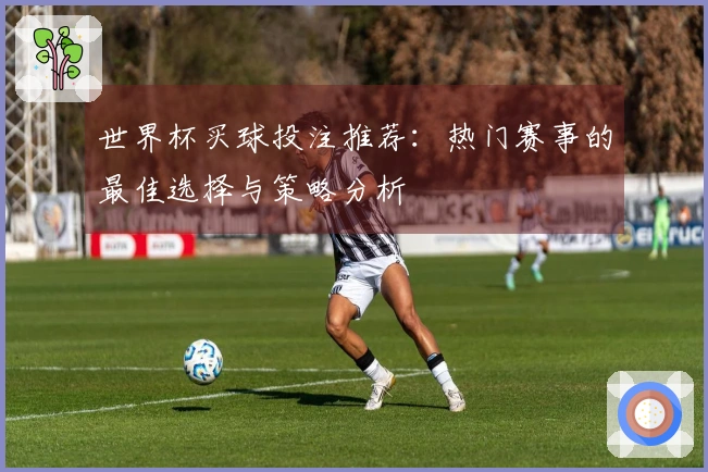 世界杯买球投注推荐：热门赛事的最佳选择与策略分析